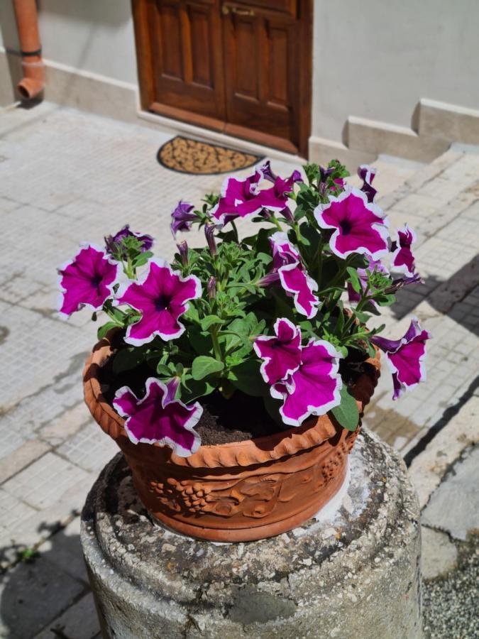 Voltamare Apartment Castellammare del Golfo Exterior photo